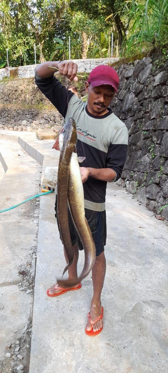 WhatsApp Image 2026-06-28 at 2.12.20 PM (1)